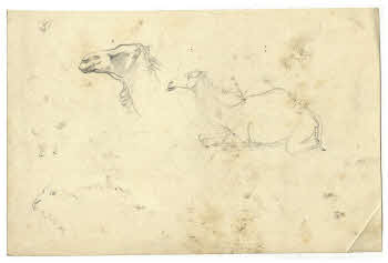 Visualizza l'immagine "FD D 149 r."